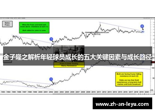 金子隆之解析年轻球员成长的五大关键因素与成长路径