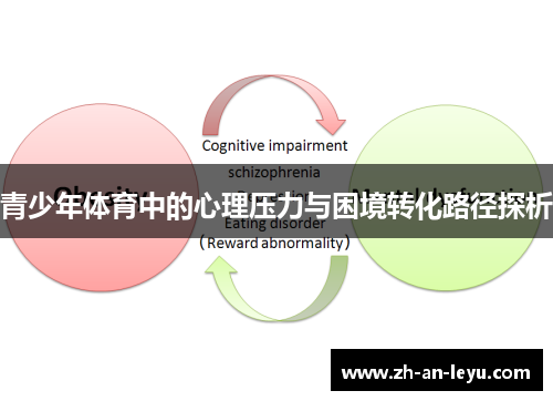 青少年体育中的心理压力与困境转化路径探析