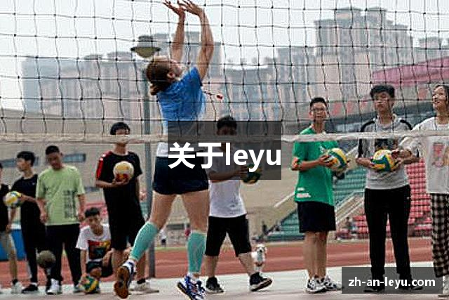 关于leyu